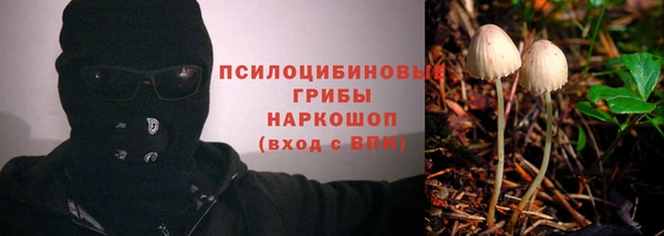 индика Алексин