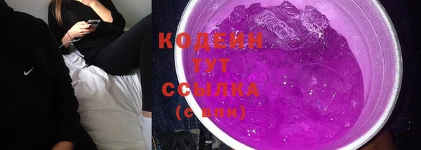 первитин Новодвинск