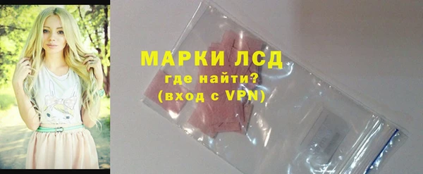 индика Алексин