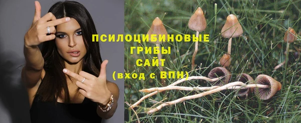 MDMA Premium VHQ Новокубанск