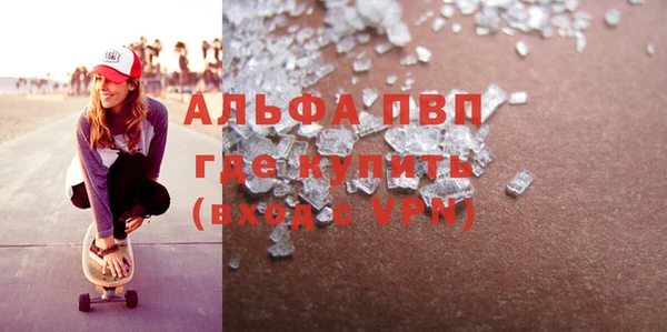 индика Алексин