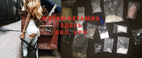 индика Алексин